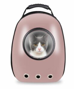 Pet Hardshell Traveling Backpack