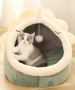 Adorable Dinosaur Pet House with Toy