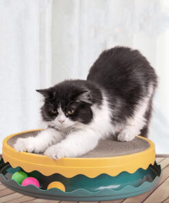 Compass Cat Scratching Board, Interactive Training Exercise Mouse Toy