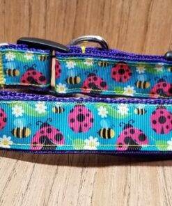 Collar/ Large/ Medium/ Lady Bugs