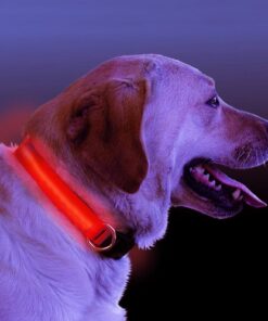 LED Light Up Dog Collar