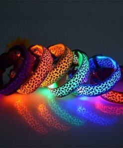 Fashion Leopard Adjustable Led Dog Collar
