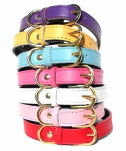 Plain Chelsea Dog Collars (4 sizes) 8-16"