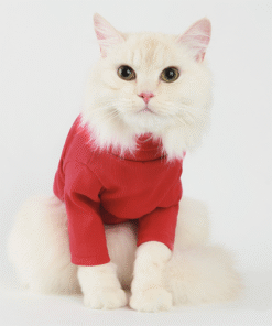 Label Turtleneck Red