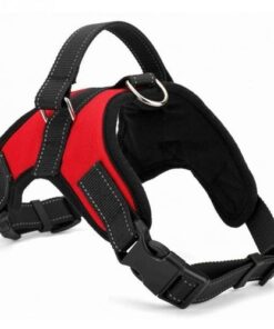 Fast Shipping Adjustable Dog Pet Harness