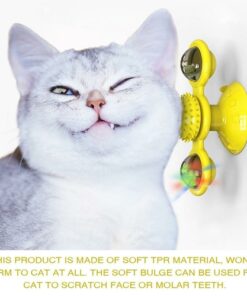 Cats Whirling LED Balls