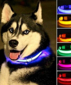 2 PCS Set Nylon LED Dog Collar