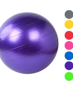 Home Exercise Fitness Yoga Ball